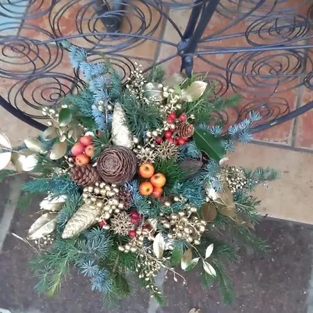 Il Giardino Di Emilia - Intero In Con Giardino Privato E Piscina Estiva Homestay *