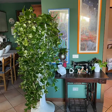 Il Giardino Di Emilia - Intero In Con Giardino Privato E Piscina Estiva Homestay Pontirolo Nuovo