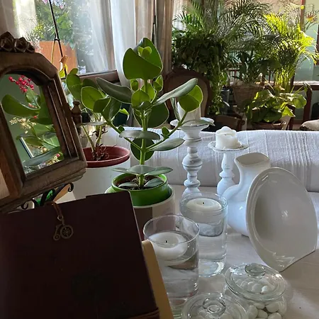 Homestay Il Giardino Di Emilia - Intero In Con Giardino Privato E Piscina Estiva